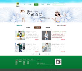 企業(yè)網(wǎng)站設計與軟件開發(fā) 打造數(shù)字化競爭力的雙引擎